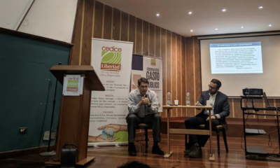 Economistas explican por qué no deberías "matar tigres" para obtener dinero extra