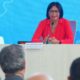 Aseguradoras y Gobierno discutieron ruta de trabajo 2024-2030